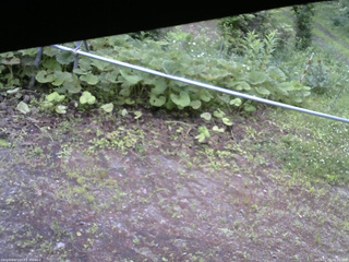長野県菅平高原 ゆたか山荘 駐車場 2026/07/05 06:00