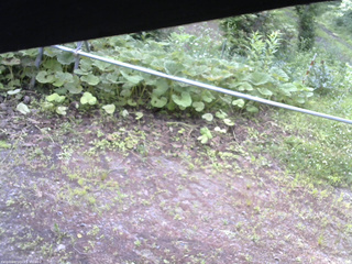 長野県菅平高原 ゆたか山荘 駐車場 2026/07/05 06:45