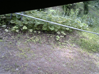 長野県菅平高原 ゆたか山荘 駐車場 2026/07/05 07:30