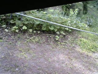 長野県菅平高原 ゆたか山荘 駐車場 2026/07/05 07:45