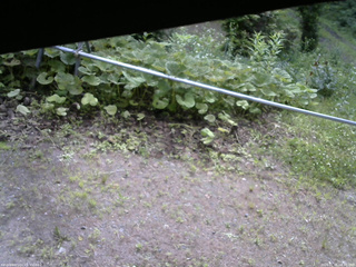 長野県菅平高原 ゆたか山荘 駐車場 2026/07/05 08:30