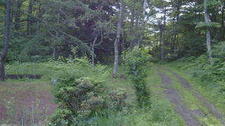 長野県菅平高原 ゆたか山荘 坂上 2026/07/05 05:00