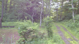 長野県菅平高原 ゆたか山荘 坂上 2026/07/05 05:15