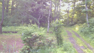 長野県菅平高原 ゆたか山荘 坂上 2026/07/05 05:30