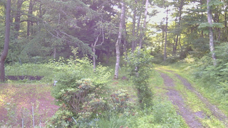 長野県菅平高原 ゆたか山荘 坂上 2026/07/05 05:45