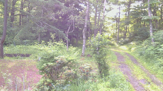 長野県菅平高原 ゆたか山荘 坂上 2026/07/05 06:00