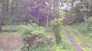 長野県菅平高原 ゆたか山荘 坂上 2026/07/05 06:15
