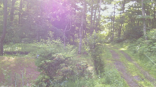 長野県菅平高原 ゆたか山荘 坂上 2026/07/05 06:30