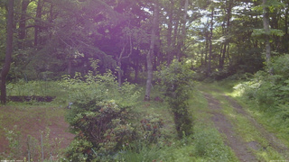 長野県菅平高原 ゆたか山荘 坂上 2026/07/05 07:00