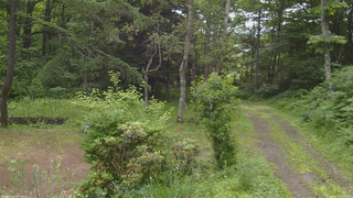 長野県菅平高原 ゆたか山荘 坂上 2026/07/05 08:00