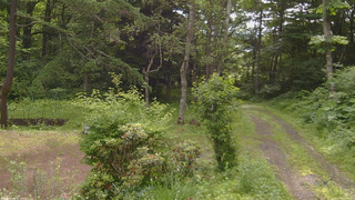 長野県菅平高原 ゆたか山荘 坂上 2026/07/05 08:30