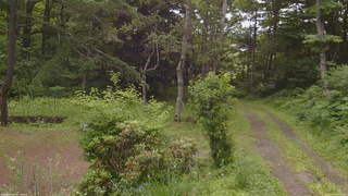 長野県菅平高原 ゆたか山荘 坂上 2026/07/05 08:45