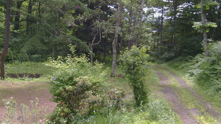 長野県菅平高原 ゆたか山荘 坂上 2026/07/05 09:15