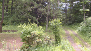 長野県菅平高原 ゆたか山荘 坂上 2026/07/05 09:45