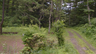 長野県菅平高原 ゆたか山荘 坂上 2026/07/05 10:30