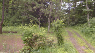 長野県菅平高原 ゆたか山荘 坂上 2026/07/05 11:00