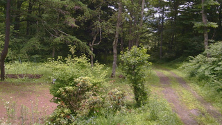 長野県菅平高原 ゆたか山荘 坂上 2026/07/05 11:15