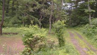 長野県菅平高原 ゆたか山荘 坂上 2026/07/05 11:30
