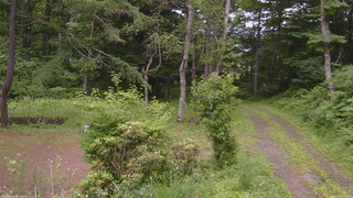 長野県菅平高原 ゆたか山荘 坂上 2026/07/05 12:30