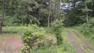 長野県菅平高原 ゆたか山荘 坂上 2026/07/05 13:15