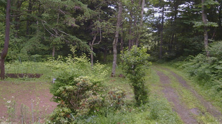 長野県菅平高原 ゆたか山荘 坂上 2026/07/05 13:45