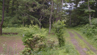 長野県菅平高原 ゆたか山荘 坂上 2026/07/05 14:00