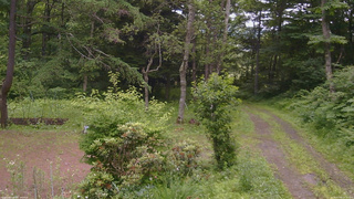 長野県菅平高原 ゆたか山荘 坂上 2026/07/05 16:15