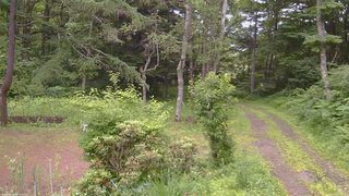 長野県菅平高原 ゆたか山荘 坂上 2026/07/05 17:45