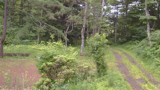 長野県菅平高原 ゆたか山荘 坂上 2026/07/05 18:00
