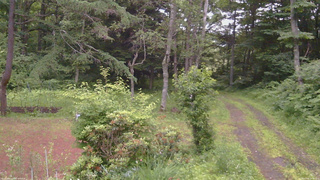 長野県菅平高原 ゆたか山荘 坂上 2026/07/05 19:00