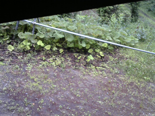 長野県菅平高原 ゆたか山荘 駐車場 2026/07/06 05:30