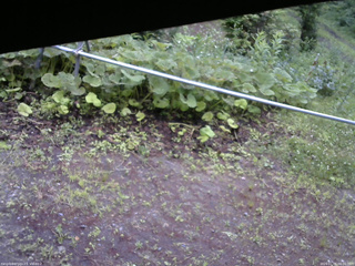 長野県菅平高原 ゆたか山荘 駐車場 2026/07/06 06:00