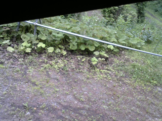 長野県菅平高原 ゆたか山荘 駐車場 2026/07/06 14:45