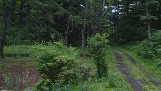 長野県菅平高原 ゆたか山荘 坂上 2026/07/06 05:00