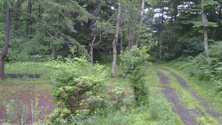 長野県菅平高原 ゆたか山荘 坂上 2026/07/06 05:15