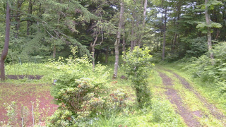 長野県菅平高原 ゆたか山荘 坂上 2026/07/06 05:30