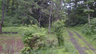 長野県菅平高原 ゆたか山荘 坂上 2026/07/06 05:45