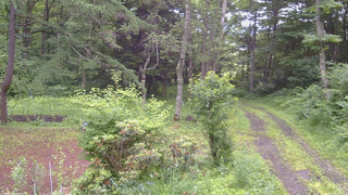 長野県菅平高原 ゆたか山荘 坂上 2026/07/06 06:00