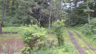 長野県菅平高原 ゆたか山荘 坂上 2026/07/06 06:30
