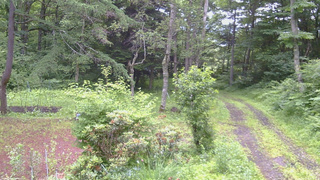 長野県菅平高原 ゆたか山荘 坂上 2026/07/06 06:45