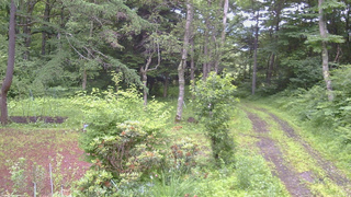 長野県菅平高原 ゆたか山荘 坂上 2026/07/06 07:00