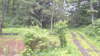 長野県菅平高原 ゆたか山荘 坂上 2026/07/06 07:45