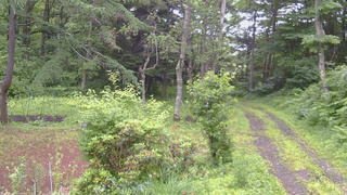 長野県菅平高原 ゆたか山荘 坂上 2026/07/06 08:00