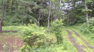長野県菅平高原 ゆたか山荘 坂上 2026/07/06 08:15