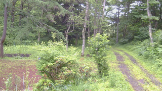 長野県菅平高原 ゆたか山荘 坂上 2026/07/06 08:30