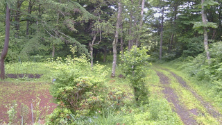 長野県菅平高原 ゆたか山荘 坂上 2026/07/06 08:45