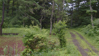 長野県菅平高原 ゆたか山荘 坂上 2026/07/06 09:15