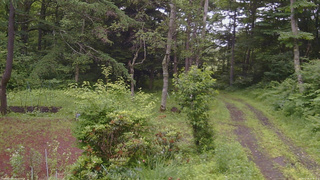 長野県菅平高原 ゆたか山荘 坂上 2026/07/06 09:45