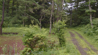長野県菅平高原 ゆたか山荘 坂上 2026/07/06 10:00