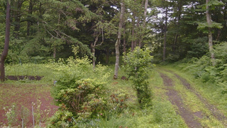 長野県菅平高原 ゆたか山荘 坂上 2026/07/06 10:15